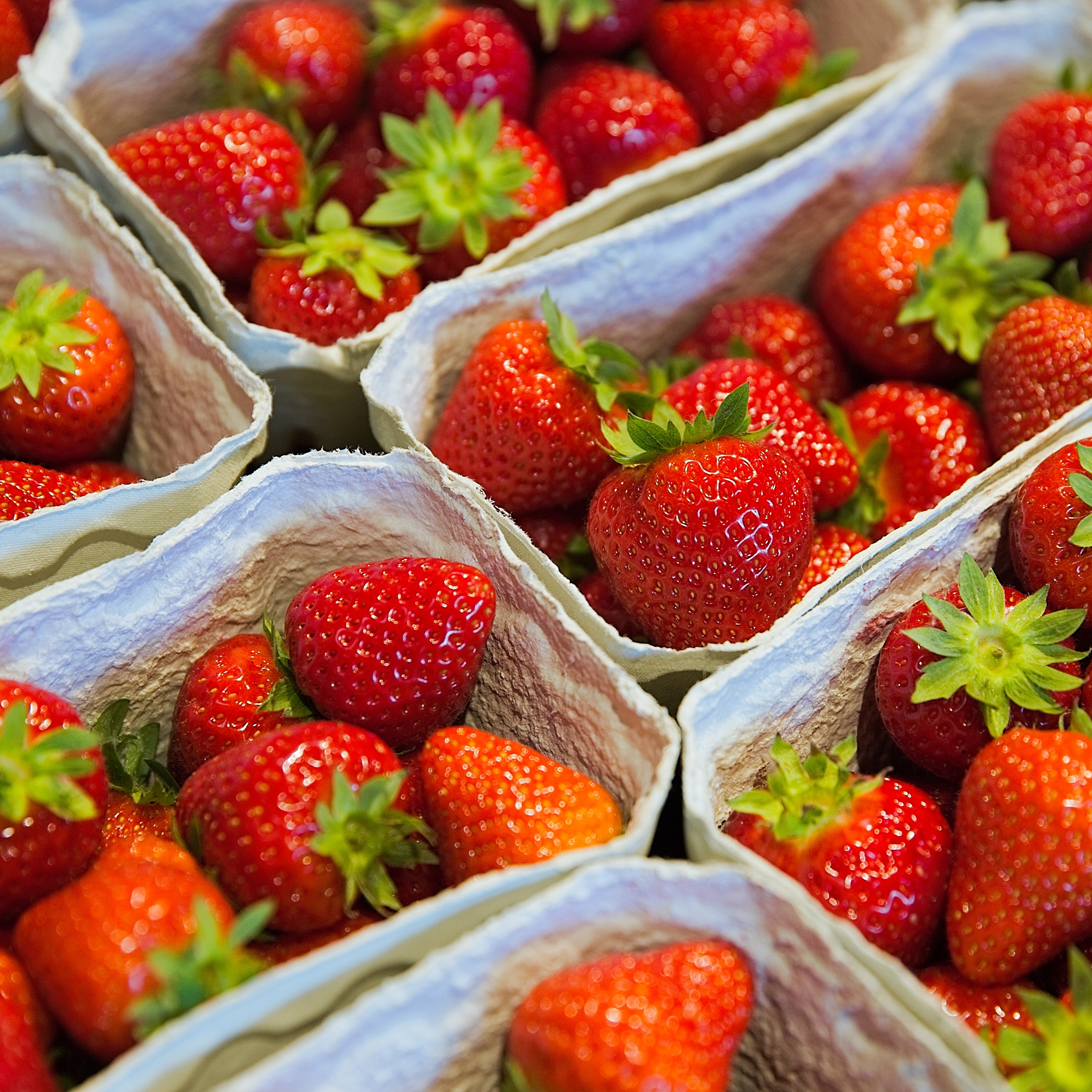 Our homegrown strawberries have now arrived in the farm shop 🍓