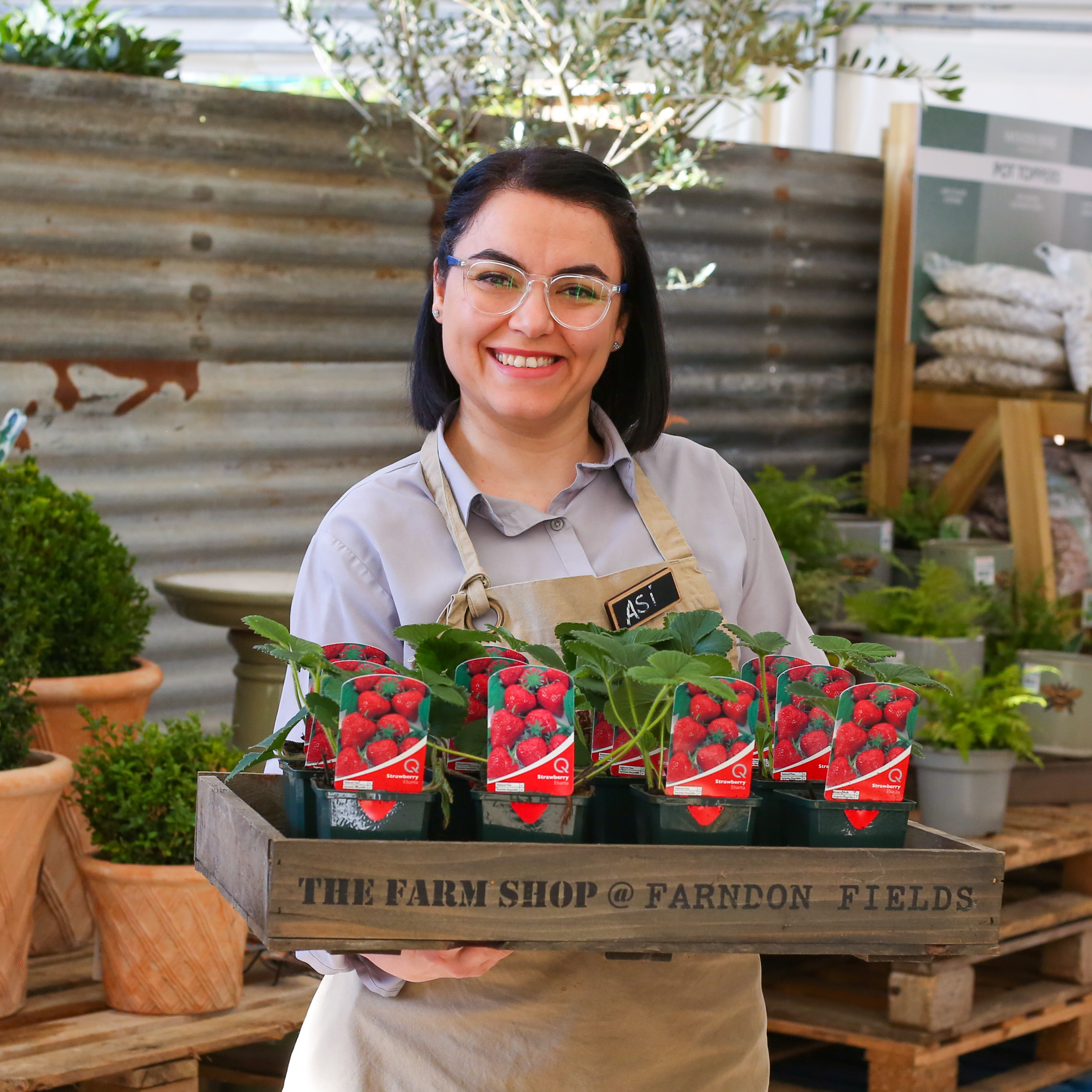 How to care for your strawberry plants