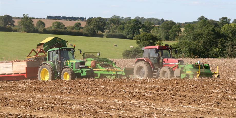 Strawberry farm|, Farndon Fields, Market Harborough