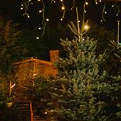 Christmas Opening Times