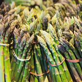 Asparagus Recipes