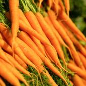 Carrot Recipes