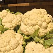 Cauliflower Recipes