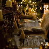 Pre-order Offer Gift Cards