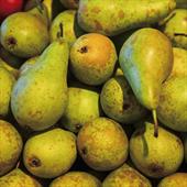 Pear Recipes