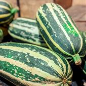 Marrow Recipes