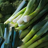 Leek Recipes