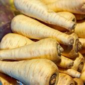 Parsnip Recipes