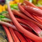 Rhubarb Recipes
