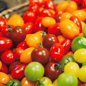 Recipe: Cod, Cherry Tomato and Green Olive Traybake