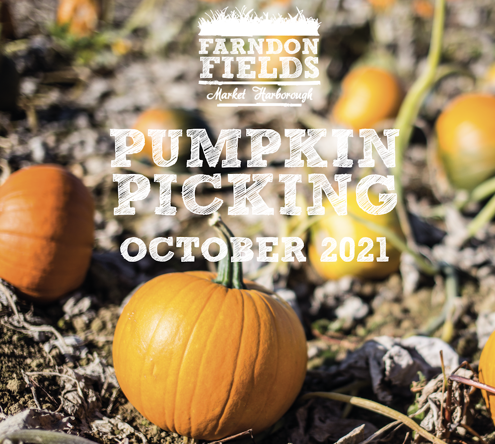 Pumpkin Picking Tickets Now On Sale!