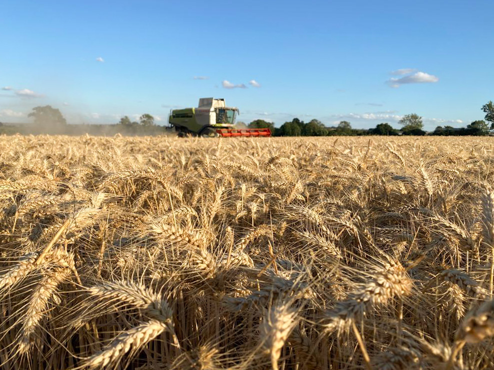 Harvesting update on the farm