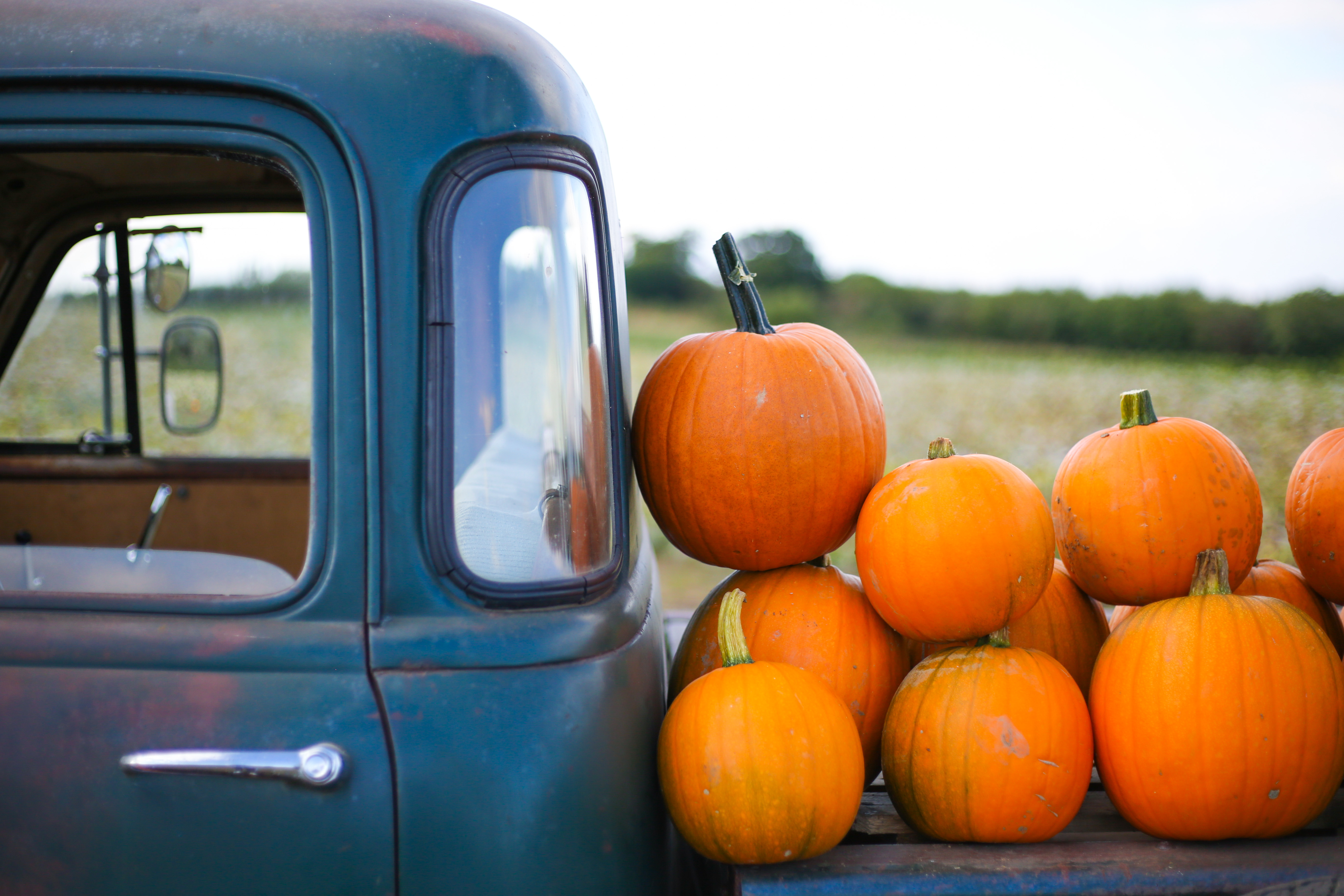 Pumpkin Picking Tickets Now On Sale!