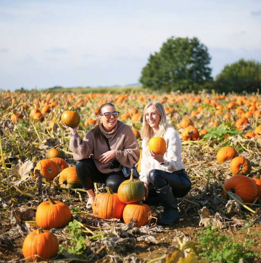 Pumpkin Picking on the farm 2021