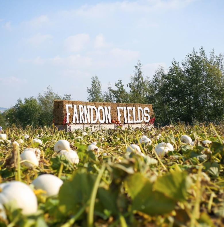 Pumpkin Picking on the farm 2021