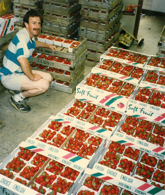 The story of the Farndon Fields strawberry