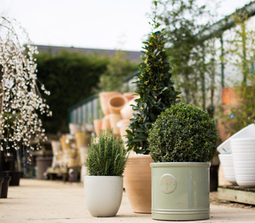 Farndon Fields range of pots